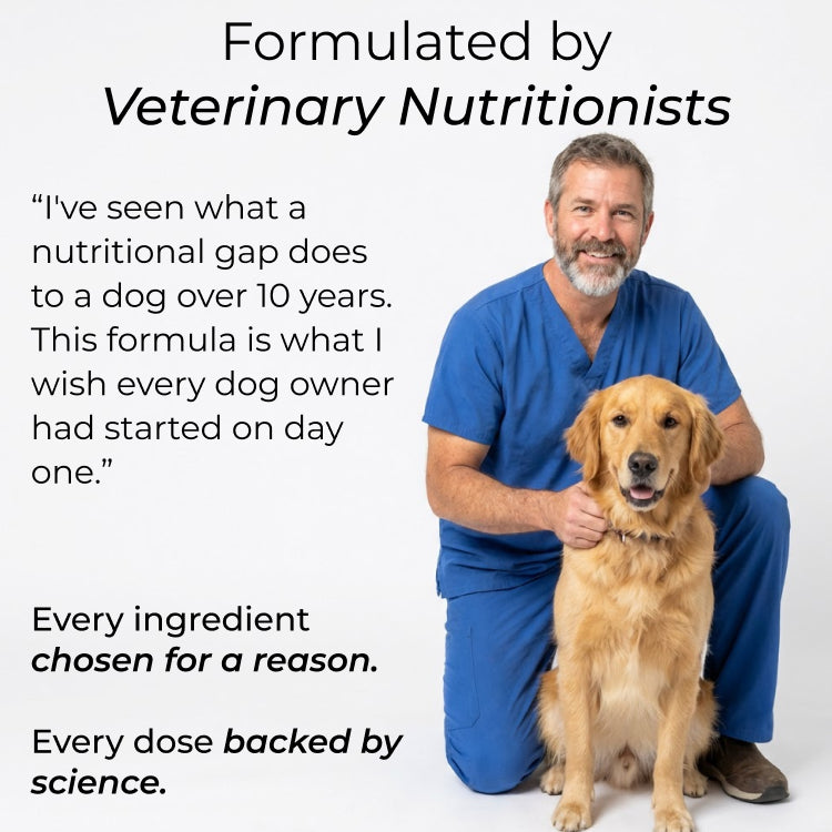 Vital Greens Multivitamin + Pre/Pro-biotics